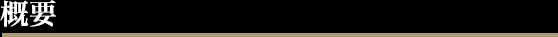 概要