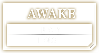 AWAKE 開発者：巨瀬亮一