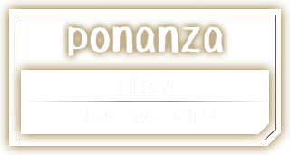 ponanza 開発者：山本一成、下山晃
