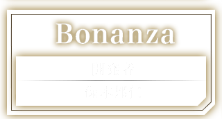 Bonanza 開発者：保木邦仁