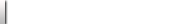 最新情報